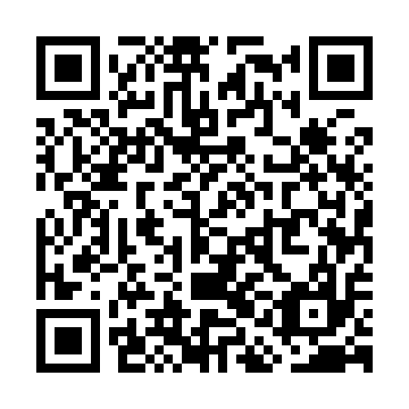 QR code for plate WAE-917