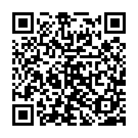 QR code for WDL-541