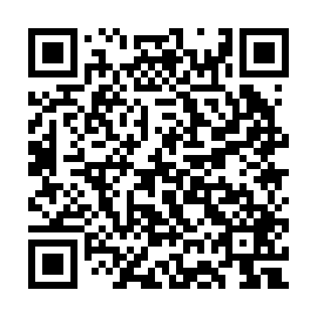 QR code for plate WGQ-249