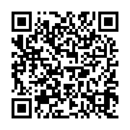 QR code for WGT-919