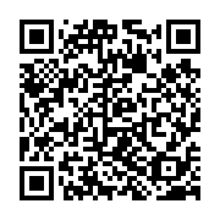 QR code for plate WHO-618