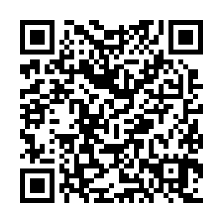 QR code for plate WHV-285