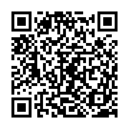QR code for WII-963