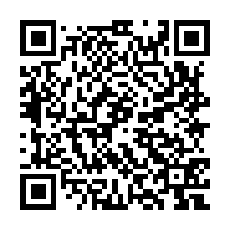 QR code for WII971