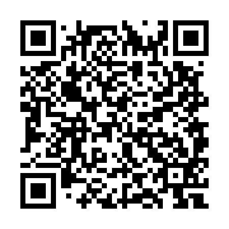 QR code for plate WIV-593
