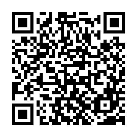 QR code for plate WJG-246