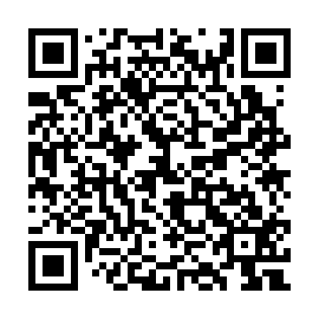 QR code for WKK313