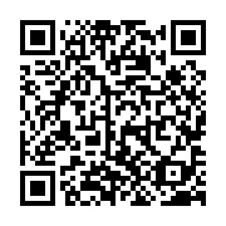 QR code for plate WKN-199