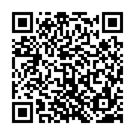 QR code for plate WNM-336