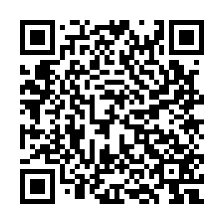 QR code for WOK-153