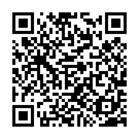 QR code for plate WQL-491