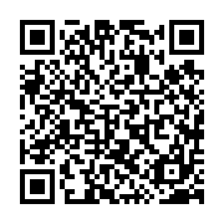 QR code for plate WQX-617