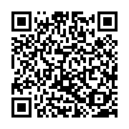 QR code for plate WRX-029