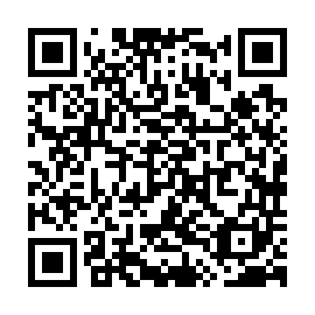 QR code for plate WTH-741