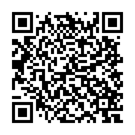 QR code for plate WXG-507