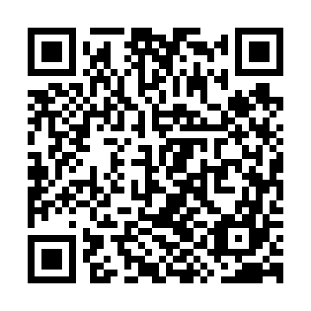 QR code for plate WYE-667
