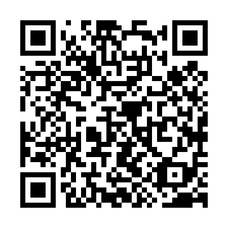 QR code for plate WYX-419