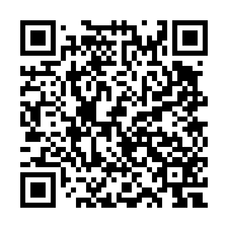 QR code for plate WZC-456