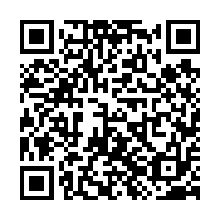 QR code for plate WZF-613