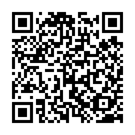 QR code for plate WZS-608