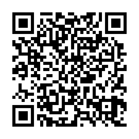 QR code for WZT-329