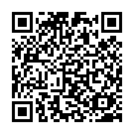 QR code for plate X01-43M