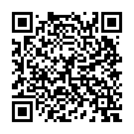 QR code for plate X01-65Z