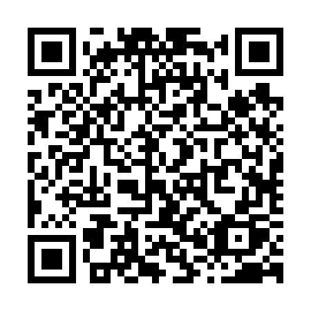 QR code for X0267P