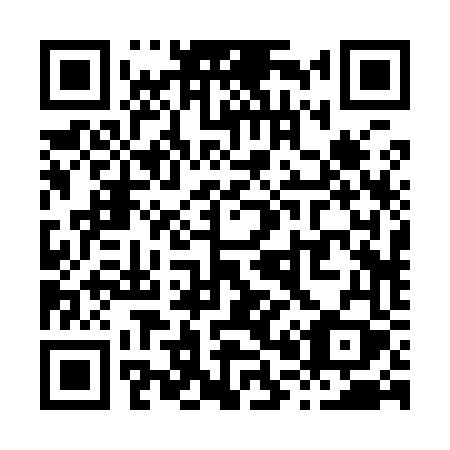 QR code for plate X02-96Y