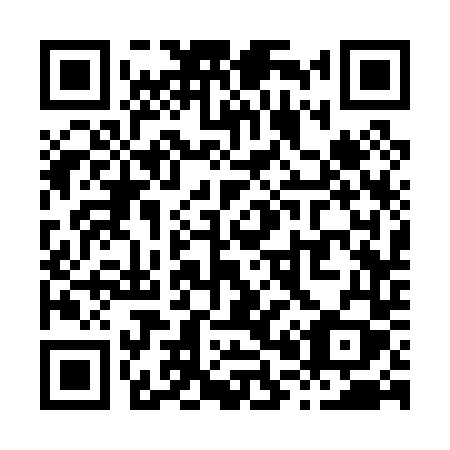 QR code for X0304Y