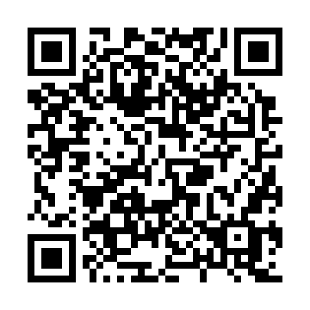 QR code for plate X06-37F