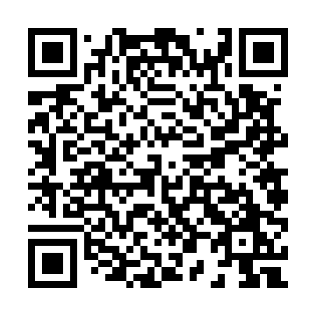 QR code for plate X06-50O