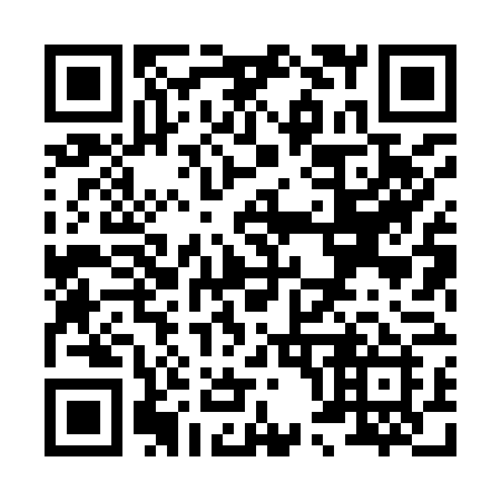 QR code for plate X08-96I