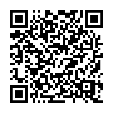 QR code for plate X09-13P