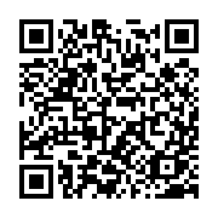 QR code for X11-54Q