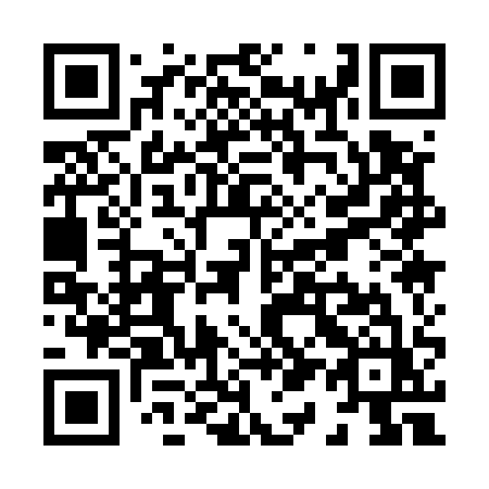 QR code for X1151Z