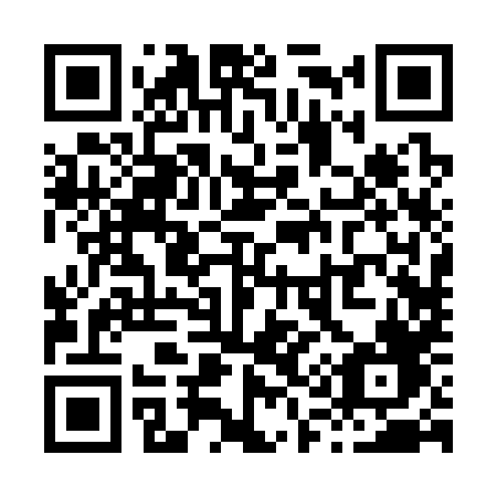 QR code for plate X12-38F