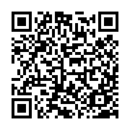 QR code for X1245T