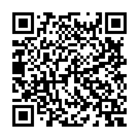 QR code for X13-81Q