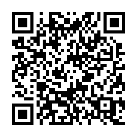 QR code for plate X13-20B
