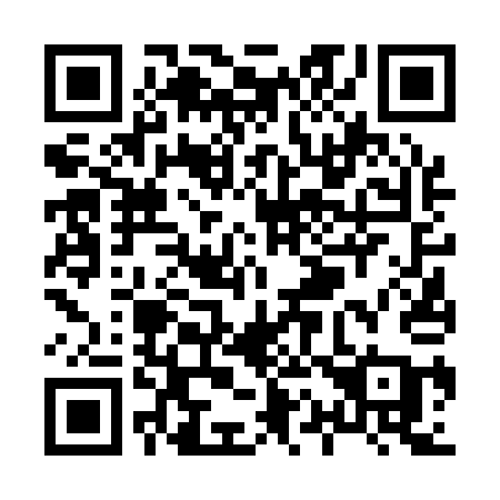 QR code for X1611A