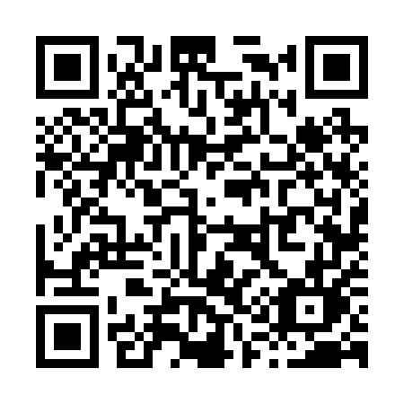 QR code for plate X16-25L