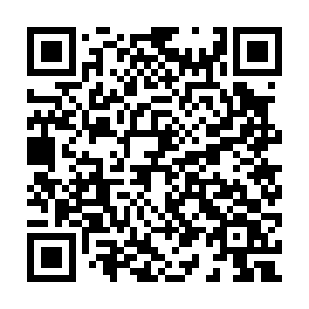 QR code for X17-06V