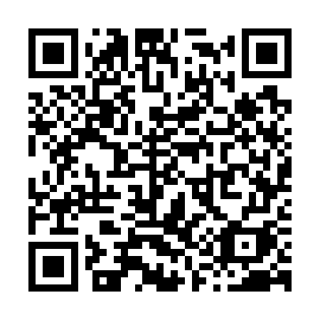 QR code for plate X17-77I