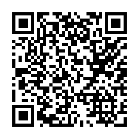 QR code for plate X17-80M