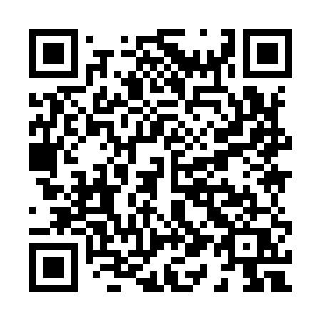 QR code for X1995Q