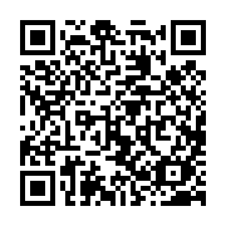 QR code for plate X20-49M