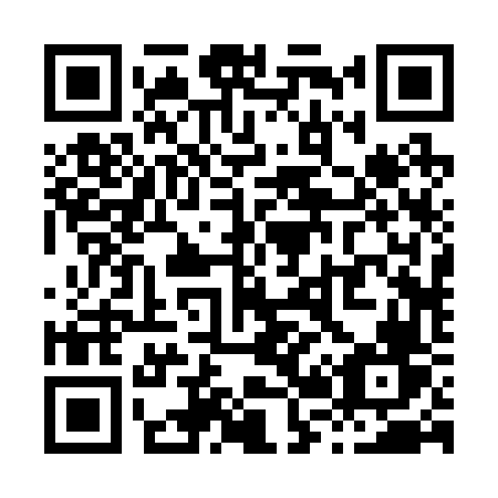 QR code for plate X22-26V