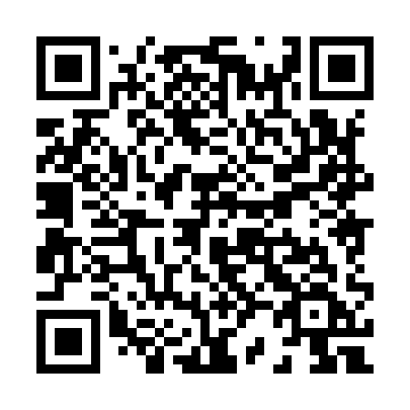 QR code for X28-91F