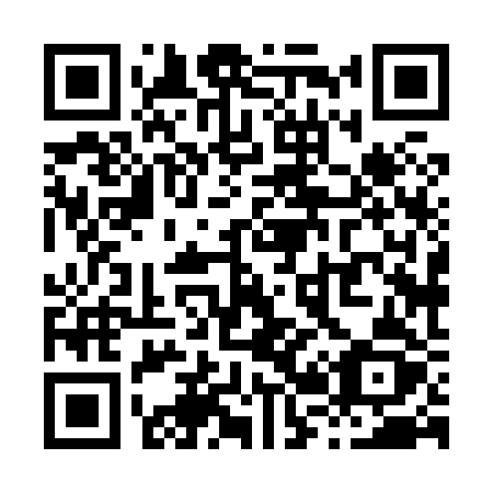 QR code for plate X28-82Z